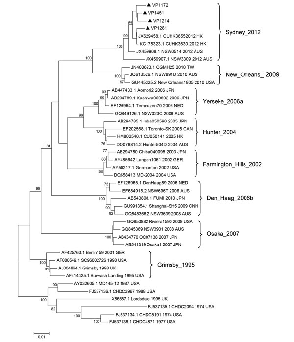 Phylogenetic tree of norovirus GII.4 capsid nucleotide sequences, Shanghai, China. The dendrogram was constructed by using the neighbor-joining method in MEGA version 5.0 (8). Bootstrap resampling (1,000 replications) was used, and bootstrap values ≥70% are shown. Black triangles indicate the 4 representative strains detected in Shanghai (GenBank accession nos. KC456070–KC456073). Reference sequences were obtained from GenBank and are indicated by GenBank accession number, strain name, year, and