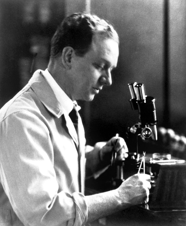 Francis Peyton Rous (1879–1970), pictured in 1923, at age 44, in his laboratory at the Rockefeller Institute for Medical Research, New York, NY, USA. Source: National Library of Medicine.