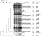 Thumbnail of PFGE patterns for 22 Neisseria meningitidis serogroup W strains (6 from reported patients, 16 from close contacts) isolated during 2011–2012 and 3 isolated during 2006–2008, China. All isolates were sequence type 11 (determined by multilocus sequence typing) and PorA type P1.5,2. PFGE, pulsed-field gel electrophoresis.