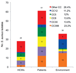 Thumbnail of Principal clonal complexes (CCs) among 125 isolates of Staphylococcus aureus from intensive care unit, France, 2011. HCWs, health care workers.