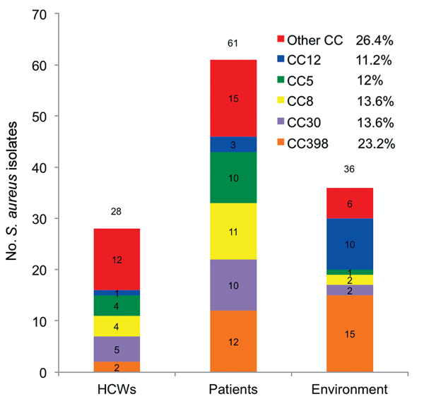 Principal clonal complexes (CCs) among 125 isolates of Staphylococcus aureus from intensive care unit, France, 2011. HCWs, health care workers.