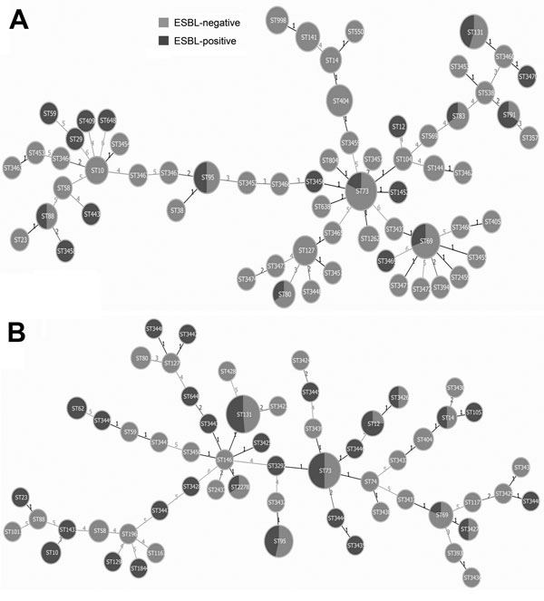Minimum-spanning trees showing carriage of extended-spectrum β-lactamases (ESBL) in Escherichia coli isolates from urine samples (A) and samples from patients with bacteremia (B). Each circle represents 1 sequence type (ST), and the size of the circle reflects the number of isolates belonging to this particular ST within the bacteria group. Lines between the circles represent how different their allelic profiles are; a line labeled 1 means the linked STs differ in &gt;1 of the 7 alleles, which i