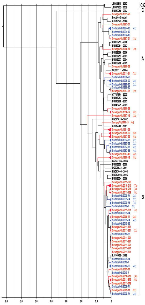 Maximum-clade credibility tree showing the phylogenetic relationships between Aichi virus isolates from the Netherlands and other locations, based on a multiple alignment of nucleotide sequences (481-nt) of the viral protein (VP) 1 region. The rooted tree was generated by the Bayesian Markov chain Monte Carlo method in BEAST (28), using CK as an outgroup, visualized in FigTree (http://tree.bio.ed.ac.uk/software/figtree/), and plotted on a temporal y-axis scale in units of 1,000 years. Aichi viru