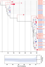 Thumbnail of Phylogenetic relationships and genetic diversity over time for 166 sequences of Aichi virus genotype B strains collected in the Netherlands. A) Maximum-clade credibility tree was generated by the Bayesian Markov chain Monte Carlo method in BEAST (28), based on a multiple alignment of nucleotide sequences (481-nt) of the viral protein 1 region. The tree is rooted to the most recent common ancestor, visualized in FigTree (http://tree.bio.ed.ac.uk/software/figtree/), and plotted on a t