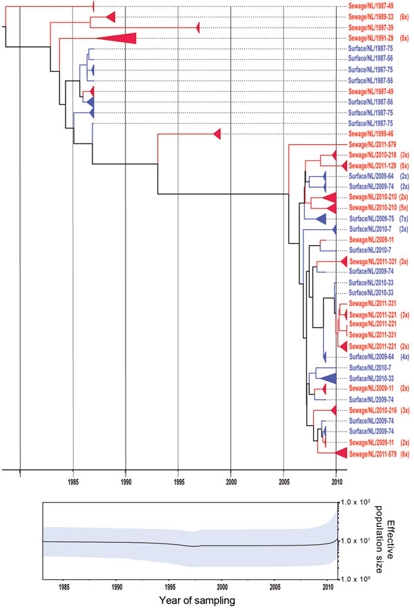 Phylogenetic relationships and genetic diversity over time for 166 sequences of Aichi virus genotype B strains collected in the Netherlands. A) Maximum-clade credibility tree was generated by the Bayesian Markov chain Monte Carlo method in BEAST (28), based on a multiple alignment of nucleotide sequences (481-nt) of the viral protein 1 region. The tree is rooted to the most recent common ancestor, visualized in FigTree (http://tree.bio.ed.ac.uk/software/figtree/), and plotted on a temporal y-axi
