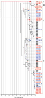Thumbnail of Maximum-clade credibility tree showing the phylogenetic relationships between Aichi virus isolates from the Netherlands and other locations, based on a multiple alignment of nucleotide sequences (139-nt) of the 3C region. The tree was generated by the Bayesian Markov chain Monte Carlo method in BEAST (28), rooted to the most recent common ancestor, visualized in FigTree (http://tree.bio.ed.ac.uk/software/figtree/), and plotted on a temporal y-axis scale using the sampling dates. Aic