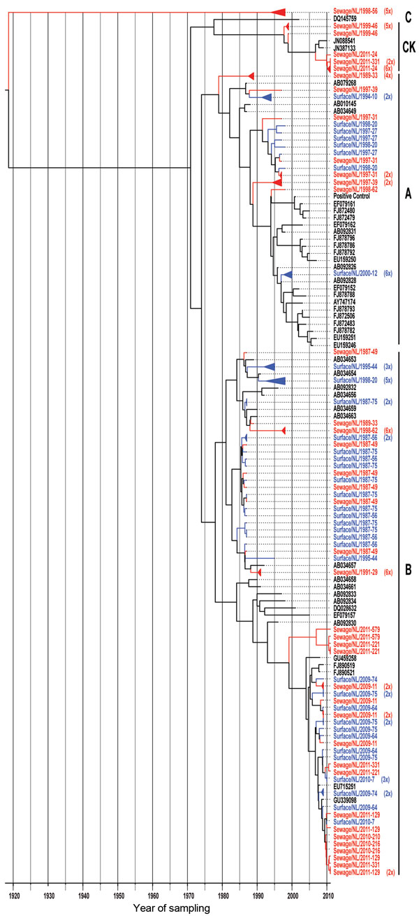 Maximum-clade credibility tree showing the phylogenetic relationships between Aichi virus isolates from the Netherlands and other locations, based on a multiple alignment of nucleotide sequences (139-nt) of the 3C region. The tree was generated by the Bayesian Markov chain Monte Carlo method in BEAST (28), rooted to the most recent common ancestor, visualized in FigTree (http://tree.bio.ed.ac.uk/software/figtree/), and plotted on a temporal y-axis scale using the sampling dates. Aichi virus stra