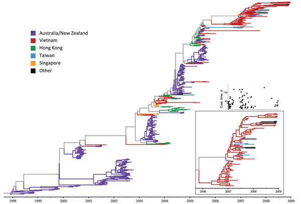 Maximum clade credibility tree for regional influenza (H3N2) hemagglutinin data, generated by BEAST version 1.6.2 (26) under a constant population model; these are the same sequences as shown on Figure 1, except 2 sequences from Vietnam were removed because of missing sampling dates (n = 785 sequences). Inset on the bottom right shows a magnification of the tree for the 2007–2008 Vietnam sequences, to highlight persistence during this time. The smaller inset above shows coalescent (coal.) times 