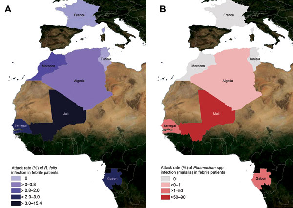 Prevalence of Rickettsia felis infection (Panel A) and Plasmodium spp. infection (malaria) (Panel B) in febrile patients in Gabon, Senegal, Mali, Algeria, Morocco, Tunisia, and France, June 2010–April 2012.