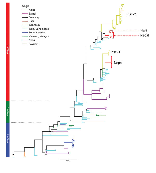 A single-nucleotide polymorphism–based maximum-likelihood phylogeny showing the position of Vibrio cholerae O1 El Tor from Pakistan in wave 3 of the seventh-pandemic lineage relative to the Haiti and Nepal strains of Hendriksen et al. (23). Waves 1, 2, and 3 are labeled in blue, green, and red respectively. Scale bar indicates substitution per variable site.