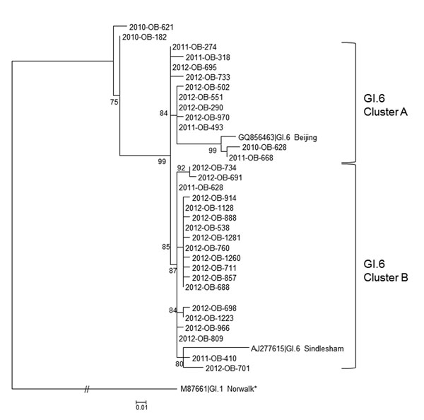 Phylogenetic typing results for GI.6 noroviruses, United States, 2010–2012. Representative outbreak nucleotide sequences were genotyped by region D (5). Sequences were downloaded, trimmed, and analyzed as described (5). In brief, a 3-parameter model, TPM1, with equal frequencies and invariable sites was run in PhyML 3.0 (www.atgc-montpellier.fr/phyml/binaries.php) as determined by jModel test by using the corrected Akaike information criterion. The best of 5 random trees was used to start the an