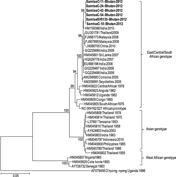 Phylogenetic analyses of the envelope protein 1 (E1) sequences of chikungunya virus (CHIKV) isolated in Bhutan in 2012. The neighbor-joining tree was constructed by using MEGA 5.0 (www.megasoftware.net); bootstrap values were obtained from 2,000 replicates. The unrooted tree topology was based on multiple alignments of the E1 gene nucleotide sequences (1,320 bp) and 34 CHIKV E1 regions, representing a wide range of localities, from GenBank. Each CHIKV isolate is represented by the country of ori