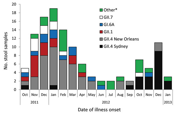 Norovirus genotypes identified in stool samples submitted by norovirus-positive callers to the foodborne illness hotline, Minnesota, USA, October 2011–January 2013. *Other genotypes identified: GII.4 Minerva, GI.3B, GII.3, GI.2, GI.7, GII.12, GI.4, GI.5, GII.6, GII.8