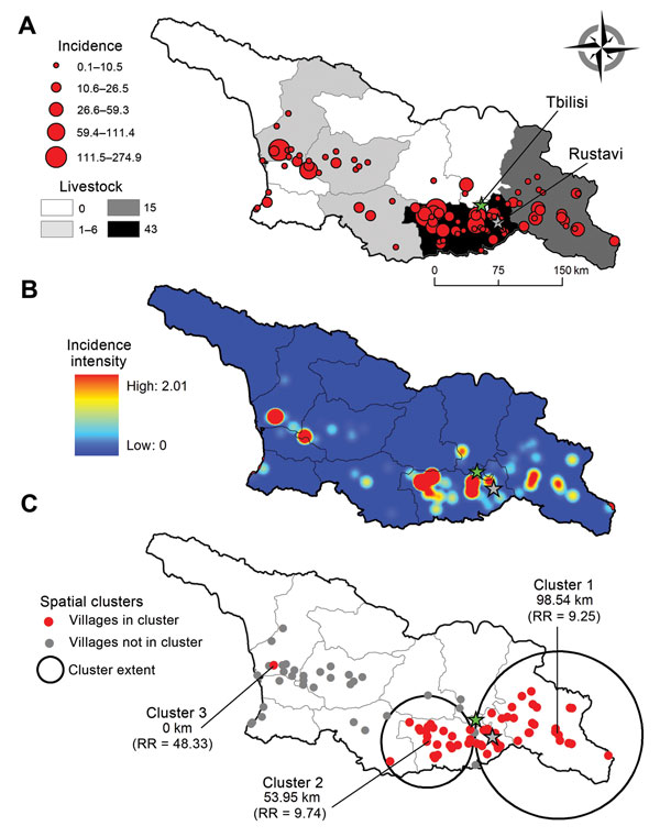 A) Empirical Bayes Smoothing cumulative incidence (per 10,000 population) of human cutaneous anthrax at the community level, Georgia, 2010–2012. Green star indicates the location of the capital, Tbilisi; gray star indicates the fourth most populous city, Rustavi. The total number of livestock cases during the study period is shown by region. B) Risk surface representing the estimated smoothed cumulative incidence per km2. C) Spatial clustering of human cutaneous anthrax cases as determined by us
