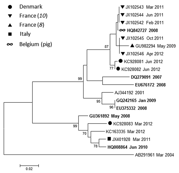 Maximum-likelihood phylogenetic analysis of hepatitis E virus genotype 4. Reference sequences are identified by their GenBank accession numbers; animal strains are indicated in boldface italics. Months (when available) and years of sample collection are indicated after the sequence names. Countries from which strains were isolated are indicated by symbols. Strain AB291961 is a human genotype 3 reference strain included as an outgroup. Scale bar indicates nucleotide substitutions per site.