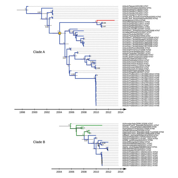 Maximum clade credibility trees for co-circulating influenza A virus H7 subtype genetic lineages, eastern Asia. A) Clade A. B) Clade B. Values along the branches are posterior probability values &gt;0.8. Gray bars indicate 95% highest posterior density for times of the most recent common ancestors; blue indicates viruses isolated in Asia; green indicates  viruses isolated in Europe (details on locations and associated posterior probabilities are shown in the online Technical Appendix, wwwnc.cdc.