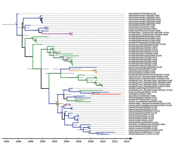 Maximum clade credibility tree for influenza A virus N9 subtype genetic lineages in Eurasia. Values along branches are posterior probability values &gt;0.8. Gray bars indicate the 95% highest posterior density for times of the most recent common ancestors. Blue indicates viruses isolated in Asia; green indicates viruses isolated in Europe; purple indicates  viruses isolated in Oceania; orange indicates viruses isolated in Africa (details on locations and associated posterior probabilities are sh