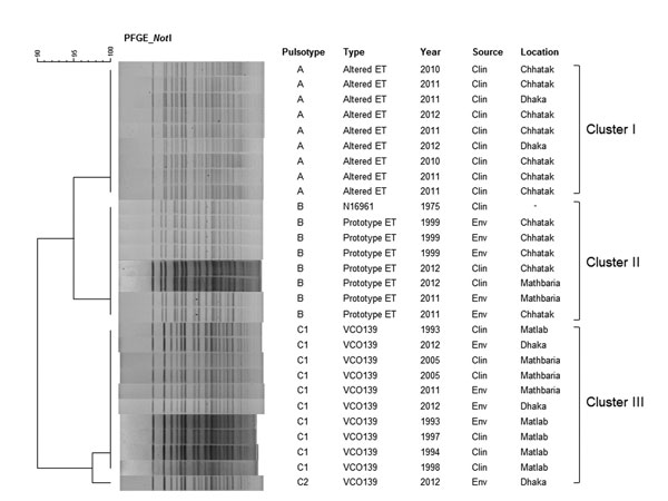 DNA fingerprinting patterns of Vibrio cholerae. Dendrogram was prepared by Dice similarity coefficient and UPGMA (unweighted pair-group method with arithmetic mean) clustering methods by using pulsed-field gel electrophoresis (PFGE) images of the NotI-digested genomic DNA. The scale bar at the top (left) indicates the correlation coefficient (range 90%–100%). V. cholerae altered ET (ctxBCL) strains (pulsotype A) formed a major cluster (cluster I), separated from prototype ET (ctxBET) strains (cl