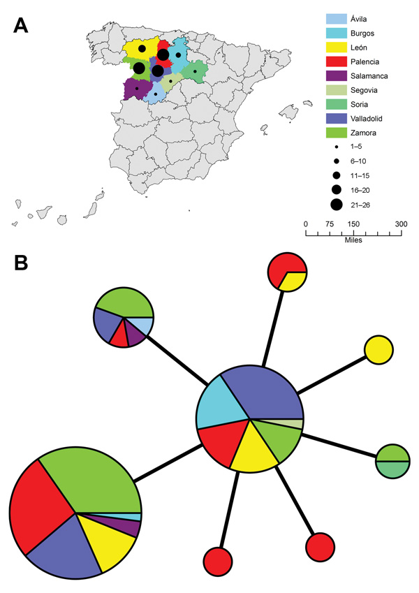 A) Geographic distribution of 98 Francisella tularensis subsp. holarctica isolates from Spain. Color codes represent geographic origin, and black circles represent number of isolates recovered per province. B) Minimum-spanning tree based on multilocus variable number tandem repeat (MLVA) analysis of genotypes, showing genetic relationships among 98 F. tularensis subsp. holarctica isolates from Spain. Each circle represents a unique MLVA type and size of each node is proportional to the number of