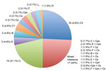 Thumbnail of Chlamydiaceae infections among 101 villagers residing in a trachoma-endemic region of southwestern Nepal identified by the ArrayTube (Alere Technologies, Jena, Germany), real-time PCR, and ompA genotyping. The number and percentage for each infection are shown. Single infections included each species and the designated ompA genotypes (n = 71). C. trachomatis (Ct) trachoma strain C predominated, but single infections with C. psittaci (Cps), C. pecorum (Cp), and C. suis (Cs) also occu