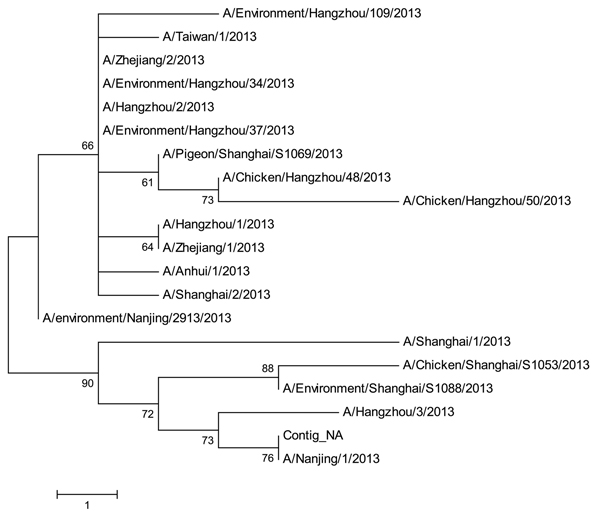 Phylogenetic tree of the influenza A (H7N9) viruses isolated in China in 2013, based on the neuraminidase gene segment. Scale bar indicates nucleotide differences per unit length.