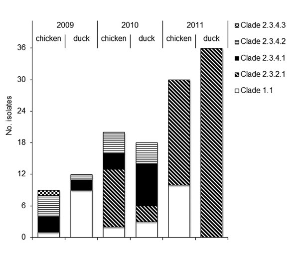 Description of 125 highly pathogenic avian influenza A(H5N1) viruses collected from poultry in Vietnam during 2009–2011 and tested during this study.