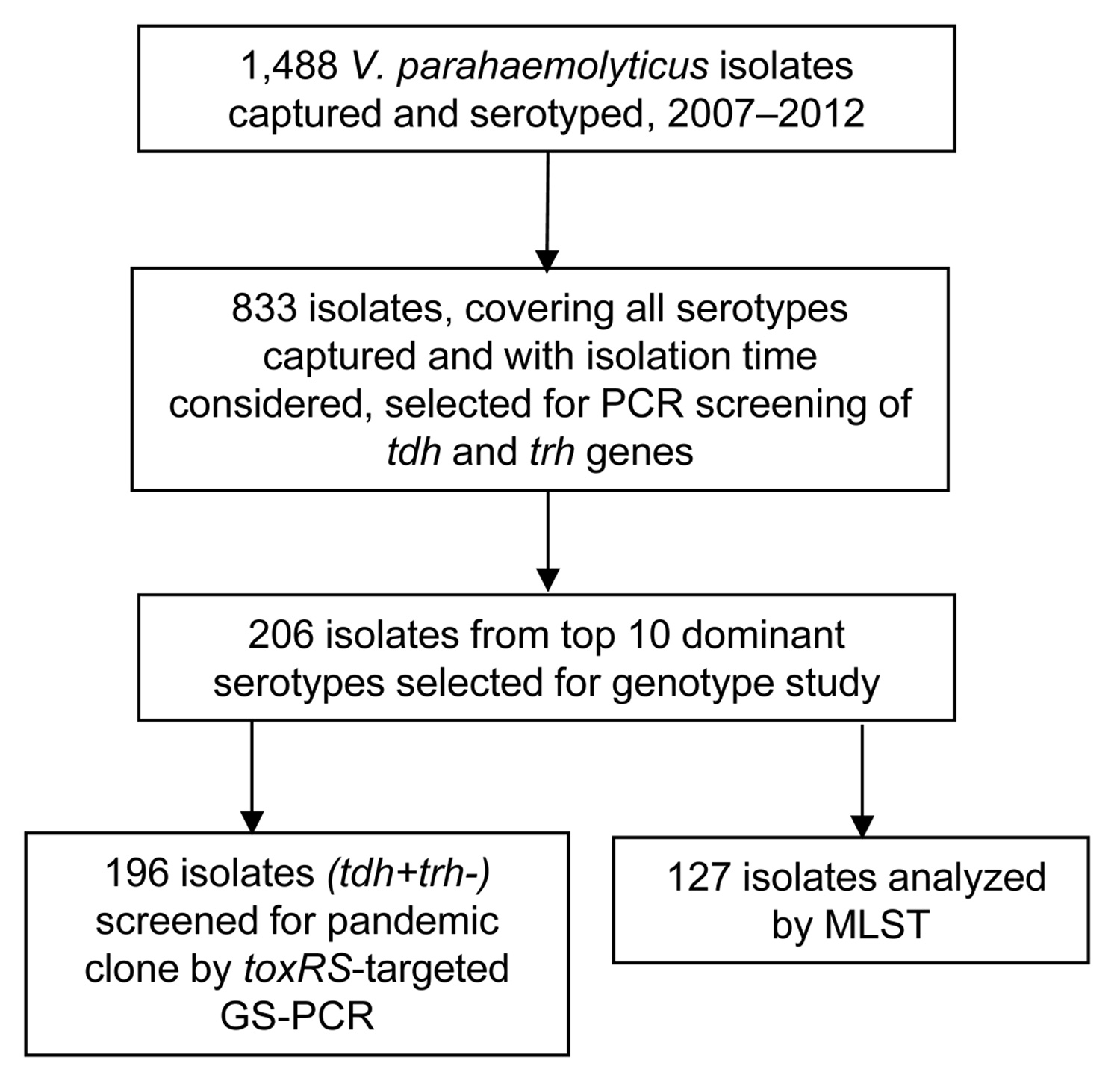 Study design and eligibility for serotype and genotype analysis of Vibrio parahaemolyticus isolates from patients with acute diarrhea, southern coastal region of China, 2007–2012.
