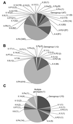 Thumbnail of Distribution of norovirus genotypes of isolates from stool samples of A) patients in community settings (n = 781 samples), B) patients in health care settings (n = 785 samples), and C) patients in foodborne outbreaks (n = 46 samples), Denmark, 2006–2010. From each clinic and hospital ward, only the first sample with an assigned genotype per calendar month is included. Values in parentheses are numbers of isolates with a specific genotype or genogroup.