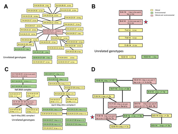 Genetic relatedness between Vibrio cholerae genotypes, Bangladesh, 2010–2011. Each genotype is identified by the number of repeats in the allele at the 5 loci VC0147, VC0437, VC1650, VCA0171, and VCA0283. The earliest date of detection is recorded in the box after the fifth allele. The background of the box indicates whether the genotype was detected in clinical isolates only (yellow), environmental isolates only (green), or both (pink). A) Clonal complex of genotypes from Chhatak, Bangladesh, a