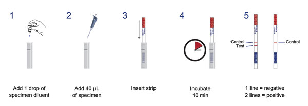 Five steps of the cryptococcal antigen lateral flow assay.