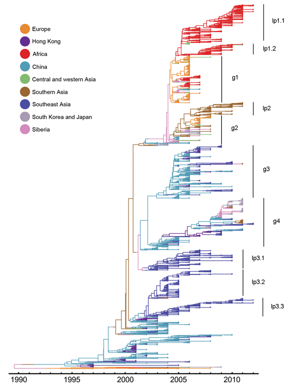 Estimated genealogy of 3,365 highly pathogenic avian influenza A(H5N1) viruses sampled during 1996–2012. The maximum a posteriori tree was estimated by using Migrate version 3.3.0 (21,22). Each tip represents a virus sequence. Colors indicate the sampling region, either actual (tips) or estimated (branches).