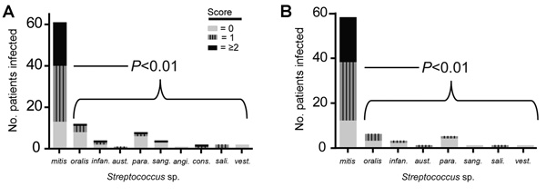 A) Pitt bacteremia scores for cancer patients infected with particular VGS species, showing that more clinically severe disease is caused by Streptococcus mitis strains than other viridans group streptococci (VGS) species. B) Pitt bacteremia scores for only those cancer patients with neutropenia. A, B) p values refer to Mann-Whitney U comparison of Pitt bacteremia scores for patients infected with S. mitis strains versus those infected with non–S. mitis strains. Infan., infantis; aust., australi
