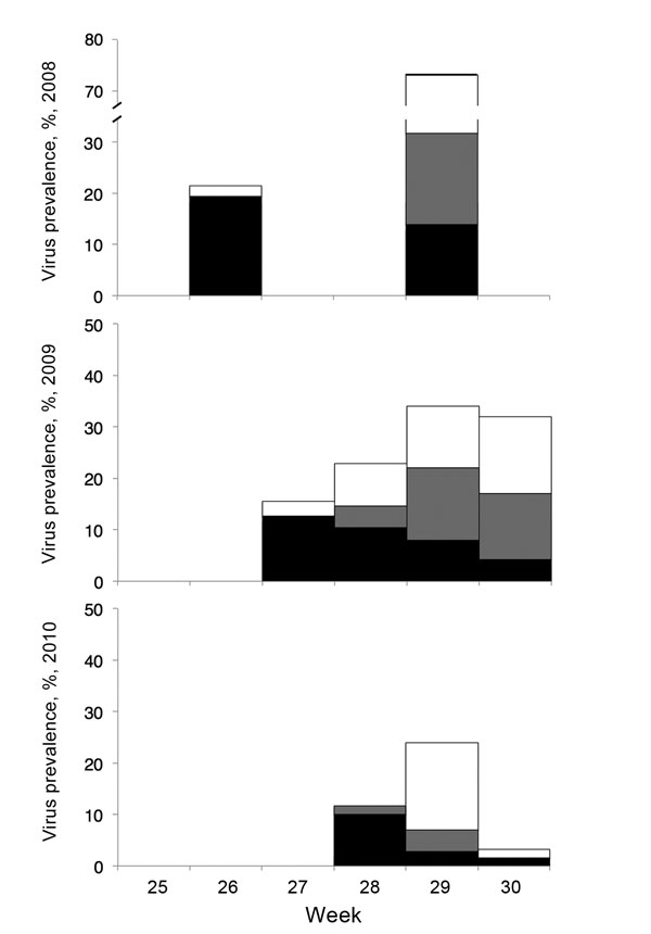 Avian influenza virus prevalence and hemagglutinin subtype (H) distribution of 871 first-year black-headed gulls sampled on the colony site of Griend during 2008–2010. Bars indicate virus prevalence (no. PCR-positive samples/no. sampled per week). Black bar sections, H13; gray bar sections, H16; white bar sections, unknown H subtype.