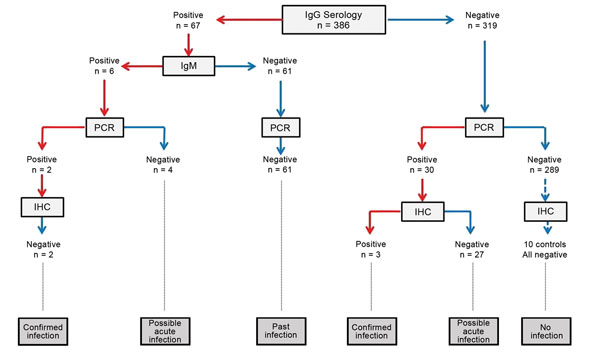 Decision tree for samples from placentas, which were used to screen for infection with Waddlia chondrophila. Of 386 women, as many as 5 had a confirmed infection, which was defined as a minimum of 2 independent positive W. chondrophila–-specific test results, and as many as 31 had evidence of acute current W. chondrophila infection. IHC, immunohistochemical analysis.