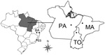 Thumbnail of States in Brazil where serum samples were collected for study of mimivirus in mammals. Dots indicate collection sites. ES, Espírito Santos; BA, Bahia; PA, Pará; TO, Tocantins; MA, Maranhão.