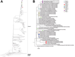 Thumbnail of Hemagglutinin phylogeny. A) Phylogenetic relationships of the hemagglutinin sequences of swine-origin subtype H3 influenza A viruses from agricultural fairs, Ohio, USA, 2012. B) Expanded view of isolates. Isolates recovered from swine and humans at the same fair are identified with the same color and symbol. 