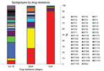 Thumbnail of Distribution of spoligotype patterns among drug-susceptible, multidrug-resistant tuberculosis and extensively drug-resistant cases in Tugela Ferry, KwaZulu-Natal Province, South Africa, 2005–2006. *does not include 11 isolates with unknown drug-susceptibility test results.