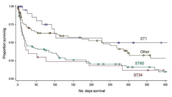 Kaplan-Meier survival distribution, from date of initial sputum collection, stratified by spoligotype (ST1 [Beijing], ST60 [LAM4/KZN], ST34 [S/Quebec] and all others). 
