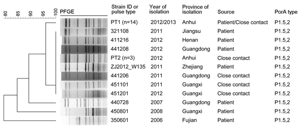Pulsed-field gel electrophoresis pattern–based cluster analysis of 27 N. meningitidis serogroup W135 isolates from China: 17 isolates were collected from persons in Hefei City, Anhui Province, and 10 were collected from persons from other provinces in China. Clustering was performed by using the Dice coefficient and an optimization setting of 1.2%. The dendrogram was generated by using the unweighted pair group method with averages. All isolates belong to the multilocus sequence type 11/electrop