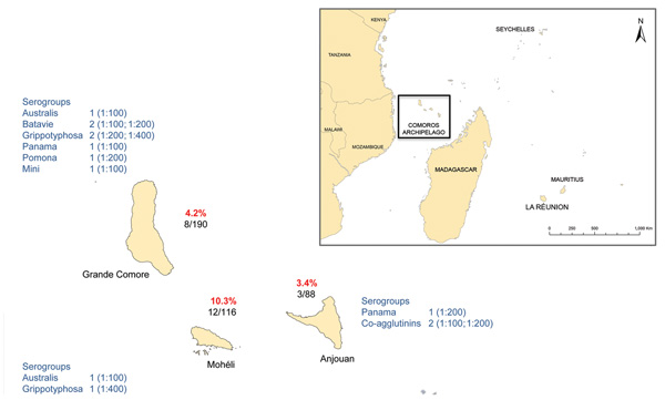 Microagglutination test results, showing serologic evidence of leptospirosis in humans, Union of the Comoros, 2011. The percentage of positive cases is shown for each island; the number below the percentage indicates the number of positive serum samples/total number tested. The serogroups identified on each island are shown; numbers represent the number of positive serum samples and, in parentheses, the number of corresponding titers. When agglutination was observed with &gt;1 serogroup, the ser