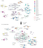 Thumbnail of Microbial association network between operational taxonomic units (OTUs) in nonvaccinated children (controls) and children at 12 months of age who were vaccinated with 7-valent pneumococcal conjugate vaccine (PCV-7). Hierarchical clustering with average linkage and Pearson correlation distance is used to identify patterns of co-occurrence or similar abundance patterns between OTUs in the complete sample set of controls and PCV-7–vaccinated children. Results are depicted in a microbi