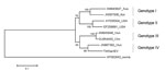 Thumbnail of Phylogenetic tree was aligned by using the maximum likelihood method (1,000 bootstraps) for 8 complete or nearly complete avian hepatitis E (aHEV) sequences and a swine HEV outgroup. GenBank accession numbers, country abbreviations, and avian genotype are indicated. Scale bar indicates nucleotide substitutions per site.