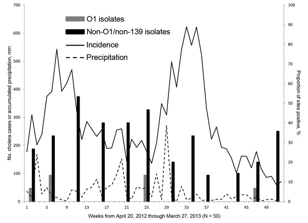 Weekly cholera case incidence for Ouest Department, excluding Port-au-Prince, Haiti, based on data reported to the Haitian Ministry of Public Health and Population and regional precipitation by week during April 2012–March 2013, combined with percentage of environmental sites from which V. cholerae O1 or non-O1/non-O139 were isolated, by month.