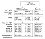 Thumbnail of Flowchart of participants in study of short-term malaria reduction by single-dose azithromycin (AZT) during mass drug administration (MDA) for trachoma, Tanzania, January 12–July 21, 2009. AZT MDA (village-wide) and study panels show that 90% of persons who were intended to receive AZT received this drug. Total study participants with ≈1,000 in each group, shown in the study panel, contributed samples that are shown in the real-time PCR panel at each sampling time. Percentages in th