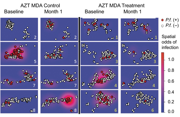 Effect of azithromycin (AZT) mass drug administration (MDA) in treatment and control villages over space and time, Tanzania, January 12–July 21, 2009. AZT MDA control villages (2, 5, 7, and 8) are shown on the left, and AZT MDA treatment villages (1, 3, 4, and 6) are shown on the right. Survey periods at baseline and month 1 are shown within treatment and control groups. Baseline infection and prevalent infections at month 1 (red circles) and negative tests (white circles) are shown. Spatial odd
