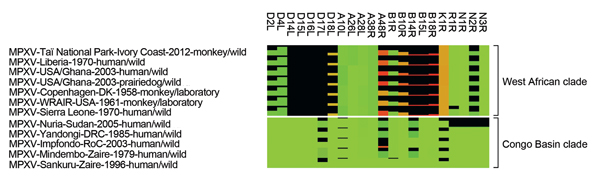 Heat map of MPXV proteins with rather low conservation. Shown is the comparison of protein length and identity. The degree of protein truncation is represented as a black bar. The differences in protein identity of the remainder of the proteins are represented by color gradation ranging from green (100% protein identity) to brown (≈50% protein identity) to red (0% protein identity). Only proteins with protein length or identity &lt;95% are shown. Protein names are based on MPXV-Sankuru-Zaire-199