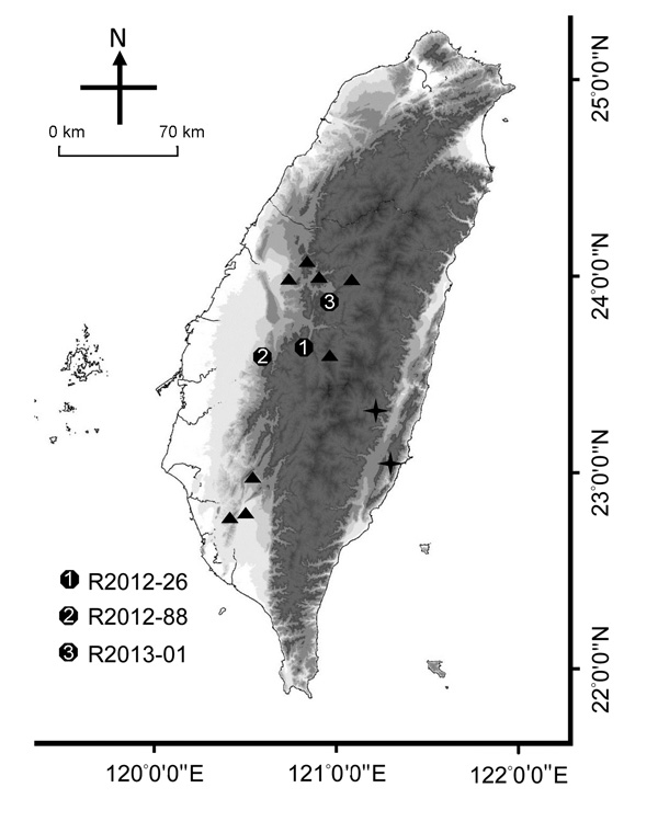 Collection sites of rabies-positive Taiwan ferret badgers (TWFB), Taiwan. Solid circles marked with 1–3 represent the collection sites of the first 3 rabies-positive animals. Triangles represent the collection sites of other rabies virus (RABV) sequences included in this study. Crosses represent the most diverged lineages of rabies virus from Taiwan ferret badgers (TWFB, TW1614, and TW1955), shown in Figure 5, panel B, Appendix, and the easternmost cross represents the isolate from a shrew, TW19