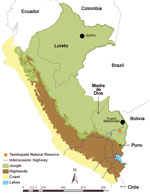 Thumbnail of Regions of Peru, indicating areas of previous hantavirus study (Loreto [2]) and the study of hantaviruses described in this article (Madre de Dios and Puno). Capital cities of the Loreto and Madre de Dios Regions are indicated by black dots.