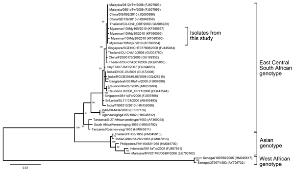 Phylogenetic tree constructed on the basis of whole E1 gene sequences of chikungunya viruses, showing location of 4 isolates obtained from children in Myanmar within the East Central South African genotype. Representative strains of each genotype obtained from GenBank are named by country of origin, strain name, year of isolation, and accession number (in parentheses). Bootstrap values are indicated at branch nodes. Scale bar indicates nucleotide substitutions per site.