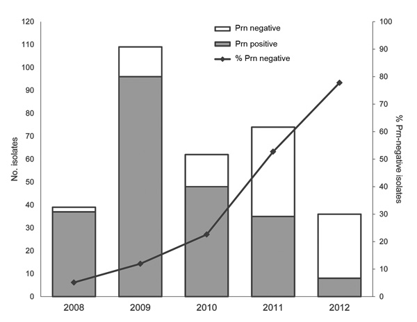Number and percentage of pertactin (Prn)–negative Bordetella pertussis isolates in Australia, 2008–2012. During this period, 320 B. pertussis isolates obtained in New South Wales, Queensland, South Australia, Victoria, and Western Australia were identified as expressing prn or not expressing prn by using Western immunoblotting. The increasing percentage of prn-negative isolates each year during 2008–2012 was 5%, 12%, 23%, 53%, and 78% respectively. Data for individual states and years can be fou